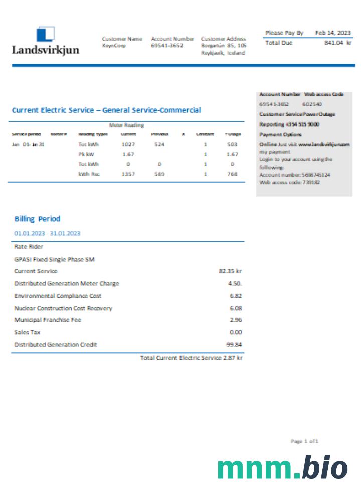 National Power Company of Iceland Landsvirkjun electricity rachunek za usługi komunalne